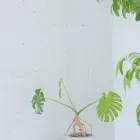 プライバシーポリシー